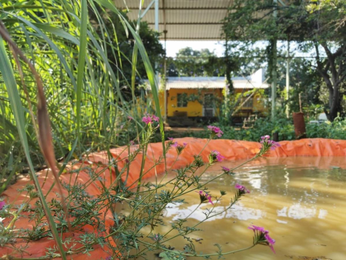 Hornbill Farm Resort حيدر أباد المظهر الخارجي الصورة