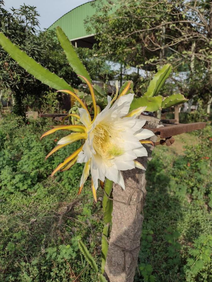 Hornbill Farm Resort حيدر أباد المظهر الخارجي الصورة